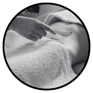 Definizione protocollo Transforma